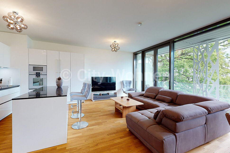 furnished apartement for rent in Hamburg Harvestehude/Sophienterrasse.  living & cooking