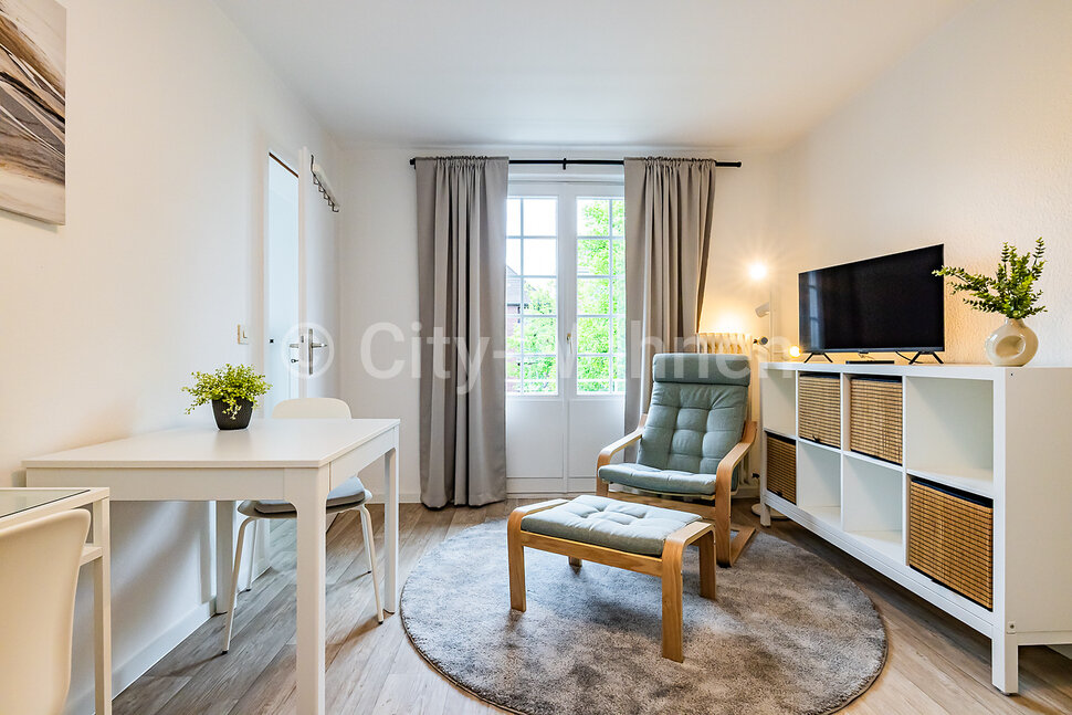 furnished apartement for rent in Hamburg Harvestehude/Hochallee.