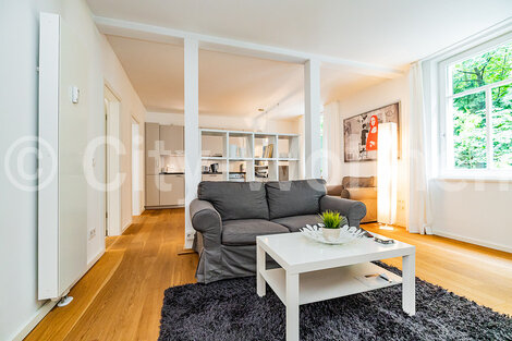 furnished apartement for rent in Hamburg Rotherbaum/Rothenbaumchaussee. living