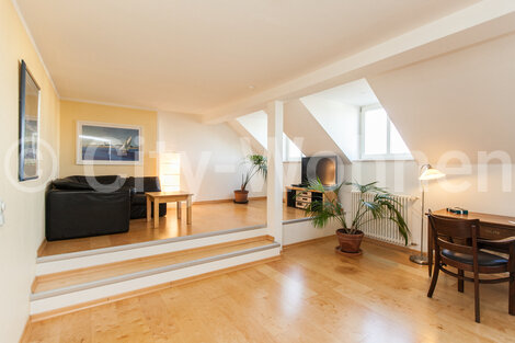 furnished apartement for rent in Hamburg St. Georg/Lange Reihe. living room