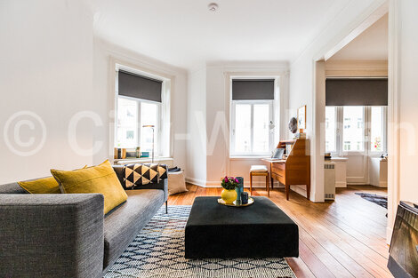 furnished apartement for rent in Hamburg Winterhude/Gertigstraße. living room