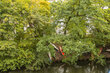 furnished apartement for rent in Hamburg Eppendorf/Klosterallee.  surroundings 8 (small)
