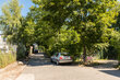 Alquilar apartamento amueblado en Hamburgo Hohenfelde/Wandsbeker Stieg. alrededores 4 (pequ)