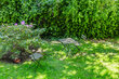 furnished apartement for rent in Hamburg Neustadt/Kornträgergang. 38 (small)