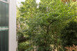 moeblierte Wohnung mieten in Hamburg St. Pauli/Wohlwillstraße.  Balkon 6 (klein)