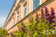 furnished apartement for rent in Hamburg Rotherbaum/Rothenbaumchaussee. surroundings 10 (small)