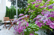 furnished apartement for rent in Hamburg Hohenfelde/Eilenau. balcony 7 (small)