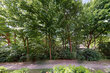 Alquilar apartamento amueblado en Hamburgo Hoheluft/Grandweg. balcón 5 (pequ)