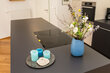 furnished apartement for rent in Hamburg Eimsbüttel/Eimsbütteler Straße. eat-in kitchen 23 (small)