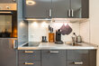furnished apartement for rent in Hamburg St. Pauli/Reeperbahn.   31 (small)