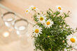 furnished apartement for rent in Hamburg St. Pauli/Otzenstraße.  open-plan kitchen 8 (small)