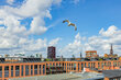 moeblierte Wohnung mieten in Hamburg Hafencity/Shanghaiallee.   64 (klein)