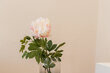 furnished apartement for rent in Hamburg Ottensen/Beetsweg. living room 12 (small)