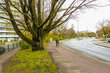 Alquilar apartamento amueblado en Hamburgo Rissen/Wedeler Landstraße. alrededores 6 (pequ)