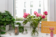 Alquilar apartamento amueblado en Hamburgo Winterhude/Knickweg. cocina 5 (pequ)