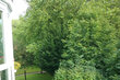 moeblierte Wohnung mieten in Hamburg Jenfeld/Bekkampsweg. Gemeinschaftsgarten 3 (klein)