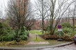 furnished apartement for rent in Hamburg Ottensen/Holstenring. surroundings 5 (small)