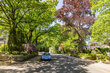 Alquilar apartamento amueblado en Hamburgo Heimfeld/Am Fuchsberg. 66 (pequ)