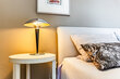 furnished apartement for rent in Hamburg St. Georg/An der Alster. 43 (small)