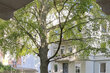 furnished apartement for rent in Hamburg St. Georg/Lange Reihe. 5 (small)