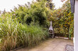 furnished apartement for rent in Hamburg Eimsbüttel/Tornquiststraße.  terrace 7 (small)