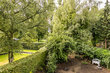 furnished apartement for rent in Hamburg Othmarschen/Emkendorfstraße. view 4 (small)