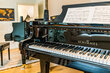 moeblierte Wohnung mieten in Hamburg Eppendorf/Martinistraße. Wohn-/Musizierzimmer 6 (klein)