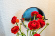 furnished apartement for rent in Hamburg Hoheluft/Lokstedter Steindamm. bedroom 10 (small)
