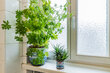 Alquilar apartamento amueblado en Hamburgo Eppendorf/Kellinghusenstraße. 62 (pequ)