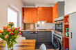 furnished apartement for rent in Hamburg St. Georg/Rostocker Straße.  kitchen 7 (small)