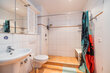 furnished apartement for rent in Hamburg Wellingsbüttel/Lockkoppel. bathroom 5 (small)