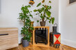 furnished apartement for rent in Hamburg Bergedorf/Holtenklinker Straße. living room 9 (small)