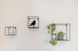 furnished apartement for rent in Hamburg Niendorf/Schwabenstieg. living & dining 9 (small)