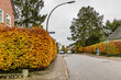 furnished apartement for rent in Hamburg Blankenese/Simrockstraße. 58 (small)
