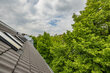 moeblierte Wohnung mieten in Hamburg Hoheluft/Christian-Förster-Straße. Balkon 8 (klein)