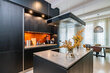 furnished apartement for rent in Hamburg Altstadt/Großer Burstah. open-plan kitchen 8 (small)