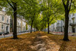 furnished apartement for rent in Hamburg Altona/Palmaille. surroundings 6 (small)