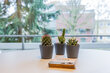furnished apartement for rent in Hamburg Bahrenfeld/Von-Sauer-Straße. 21 (small)