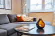 furnished apartement for rent in Hamburg Ottensen/Griegstraße. 30 (small)