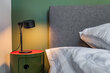 Alquilar apartamento amueblado en Hamburgo Borgfelde/Bürgerweide. 46 (pequ)