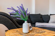 Alquilar apartamento amueblado en Hamburgo Altona/Missundestraße. 25 (pequ)