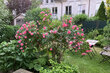 furnished apartement for rent in Hamburg Stellingen/Vehrenkampstraße. 84 (small)
