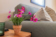 furnished apartement for rent in Hamburg Winterhude/Geibelstraße.   27 (small)
