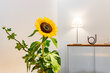 furnished apartement for rent in Hamburg Winterhude/Rondeel.   40 (small)
