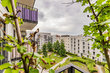 furnished apartement for rent in Hamburg Altona/An der Kleiderkasse. 64 (small)