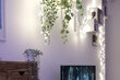 Alquilar apartamento amueblado en Hamburgo Hamm/Griesstraße. 17 (pequ)