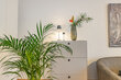 Alquilar apartamento amueblado en Hamburgo Hoheluft/Wrangelstraße. 31 (pequ)