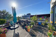 Alquilar apartamento amueblado en Hamburgo Eimsbüttel/Brunckhorstweg. 37 (pequ)