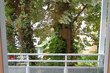 Alquilar apartamento amueblado en Hamburgo Eimsbüttel/Alardusstr. 36 (pequ)
