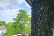 Alquilar apartamento amueblado en Hamburgo Ohlsdorf/Wellingsbütteler Landstraße. 24 (pequ)